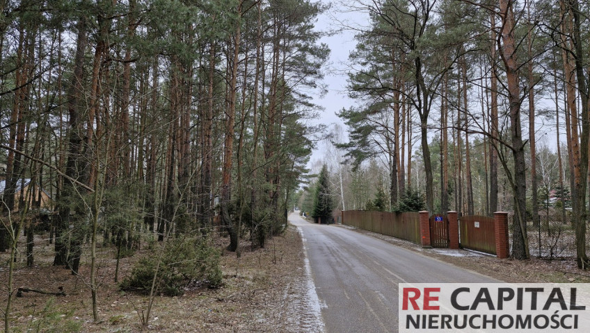 Działka Sprzedaż Wysychy Leśna