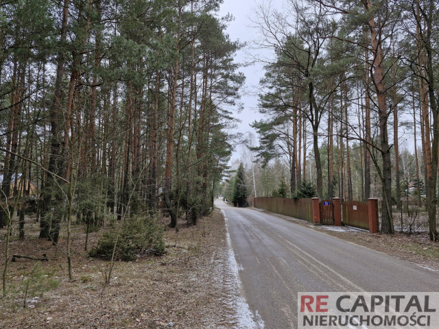 Wyjątkowe działki leśne przy trasie S8