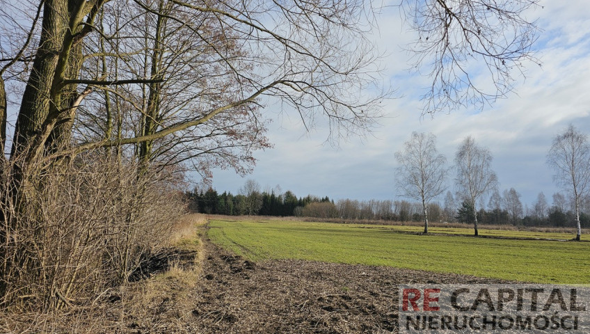 Działka Sprzedaż Borzęcin Mały