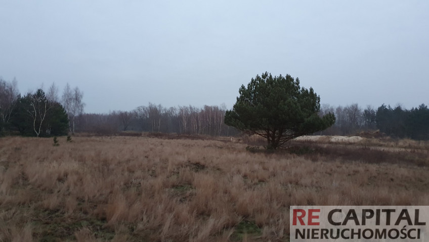 Działka Sprzedaż Borzęcin Duży
