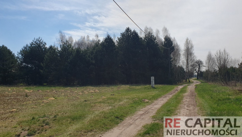 Działka Sprzedaż Powązki